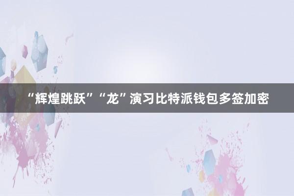 “辉煌跳跃”“龙”演习比特派钱包多签加密