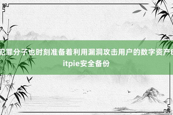 犯罪分子也时刻准备着利用漏洞攻击用户的数字资产Bitpie安全备份