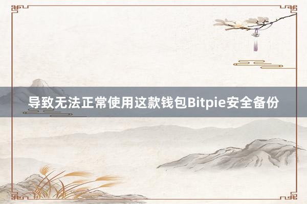 导致无法正常使用这款钱包Bitpie安全备份