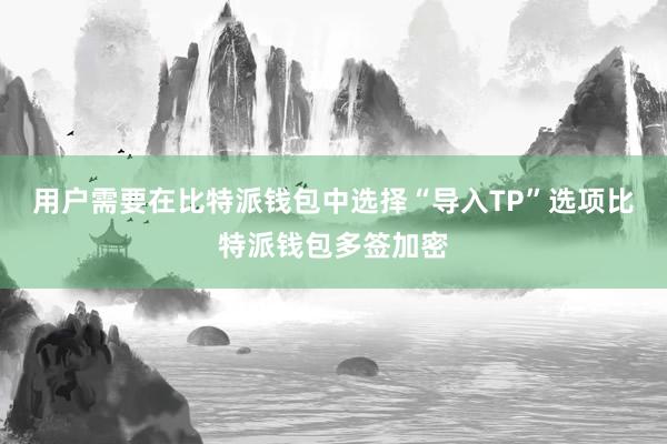 用户需要在比特派钱包中选择“导入TP”选项比特派钱包多签加密