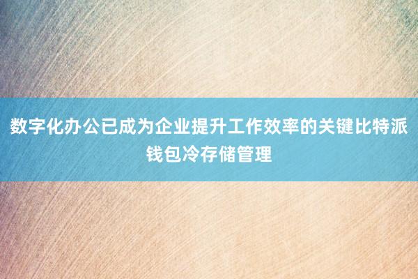 数字化办公已成为企业提升工作效率的关键比特派钱包冷存储管理