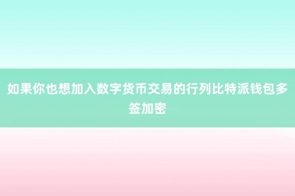 如果你也想加入数字货币交易的行列比特派钱包多签加密