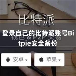 登录自己的比特派账号Bitpie安全备份