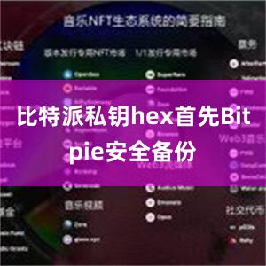 比特派私钥hex首先Bitpie安全备份