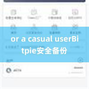 or a casual userBitpie安全备份